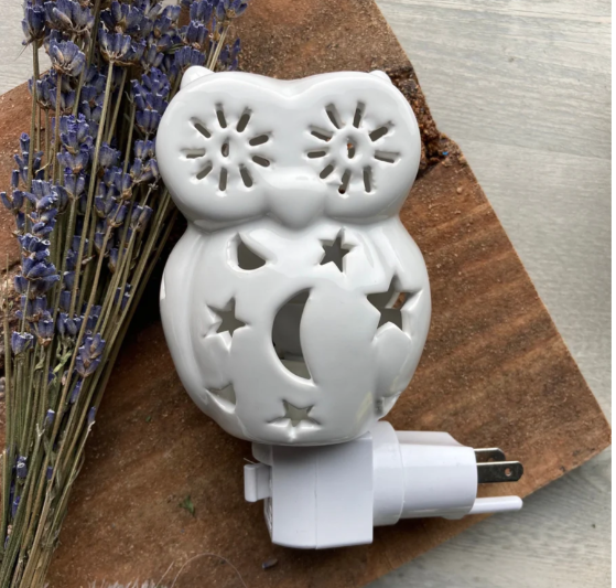 Owl  Night Light