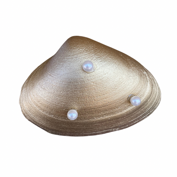 Mantoloking Shell Dish