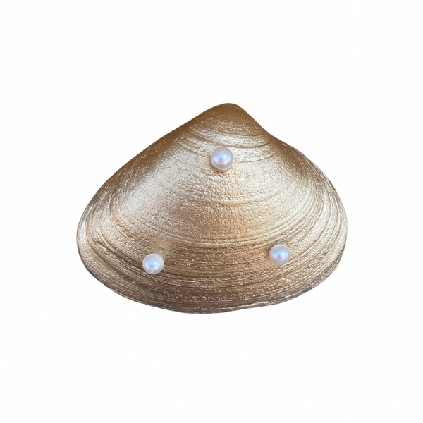 Manasquan Shell Dish